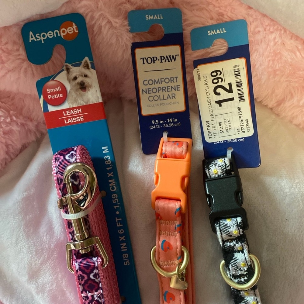 Small Dog leash & Collars Bundle - Picture 3 of 6